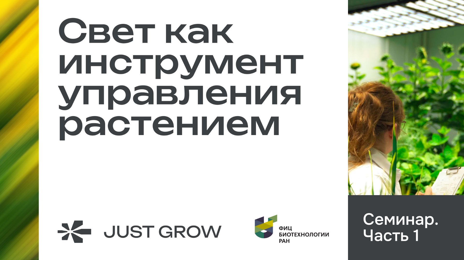Лекции и семинары