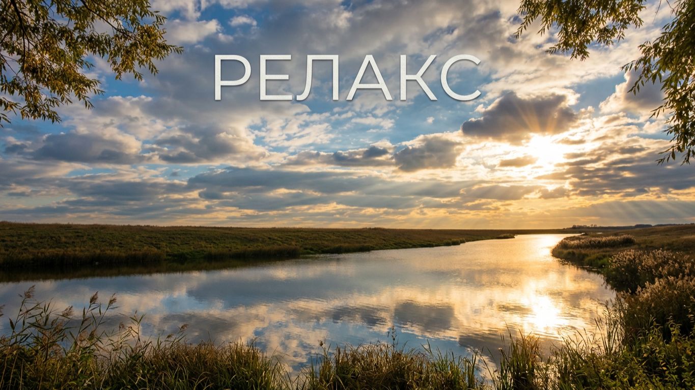 Звуки и виды живой природы для отдыха