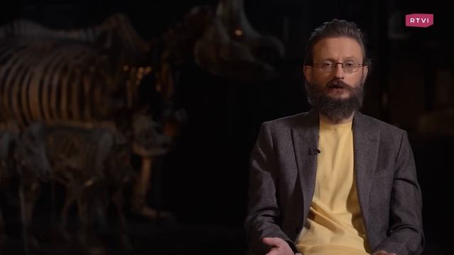 Как приматы путешествовали через океан // Дробышевский