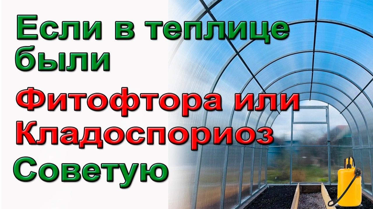 Если в теплице были Фитофтора или Кладоспориоз  Советую