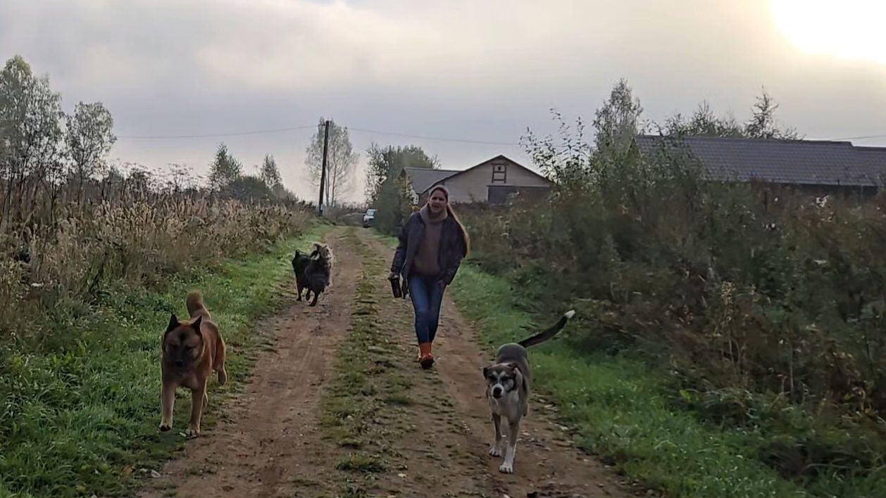 Красивое утро, любимое бревно и увесистая рыбка
