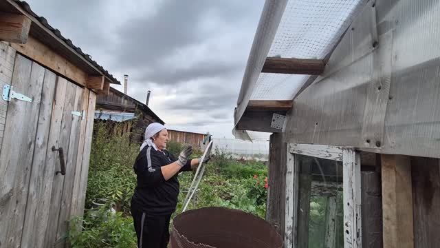 незнаю ,еще раз продублировала / убираю в огороде/ мои сельские заботы