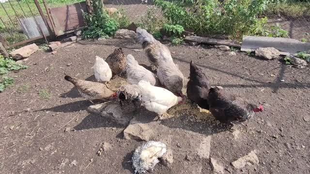 НАДО ЧТО-ТО ДУМАТЬ И РЕШАТЬ..