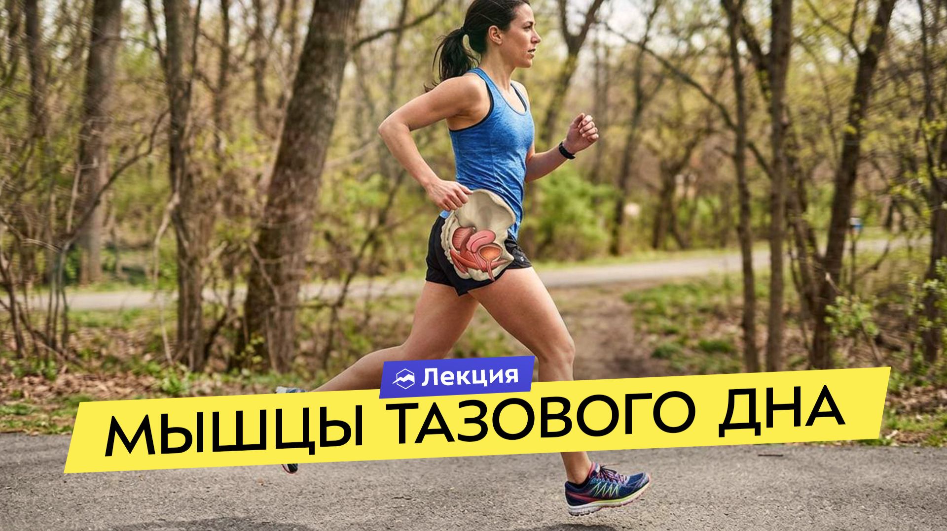 Тазовое дно в спорте. Как справиться с недержанием и болью? Упражнения