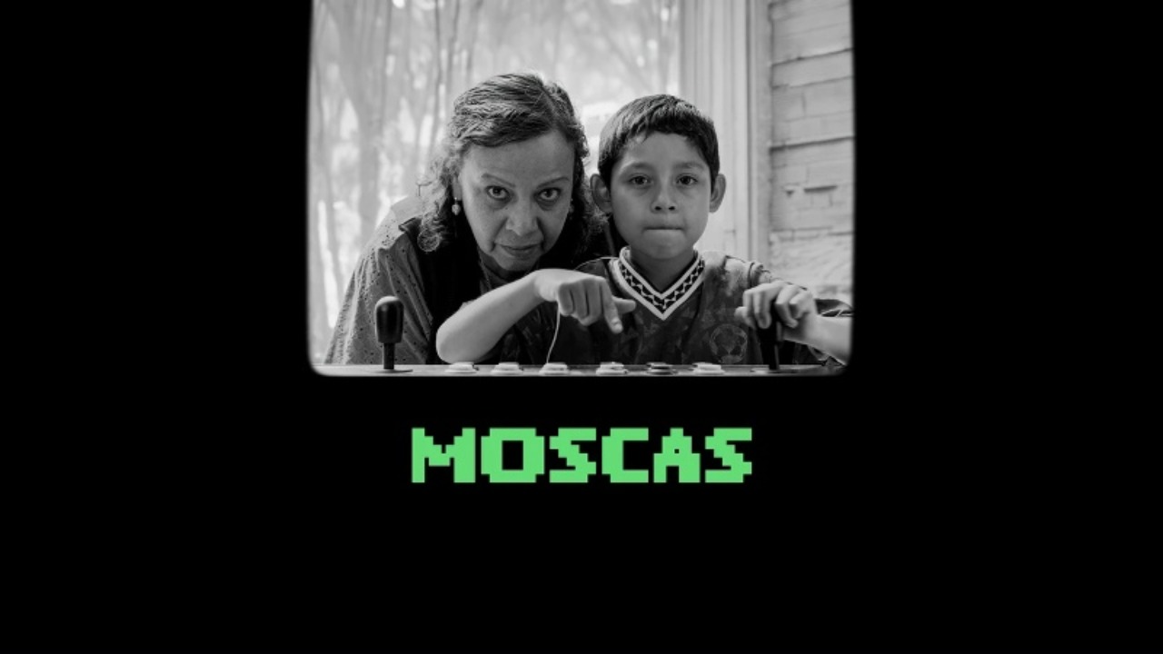 Мухи (2026) / Moscas / Flies