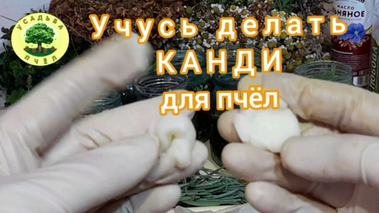 Учусь Делать Канди для Пчёл