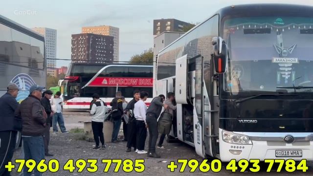 Moskva Tashkent Avtobus Moskva Samarqand Avtobus/ москва ташкент автобус москва самарканд автобус