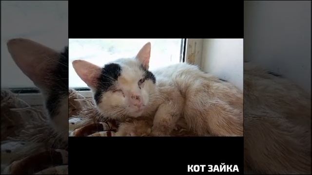 🌡️Кто не совсем здоров, тот любит добрых Докторов.Тот хочет жить и стать счастливым.