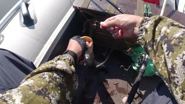 Астраханские рыбалки
