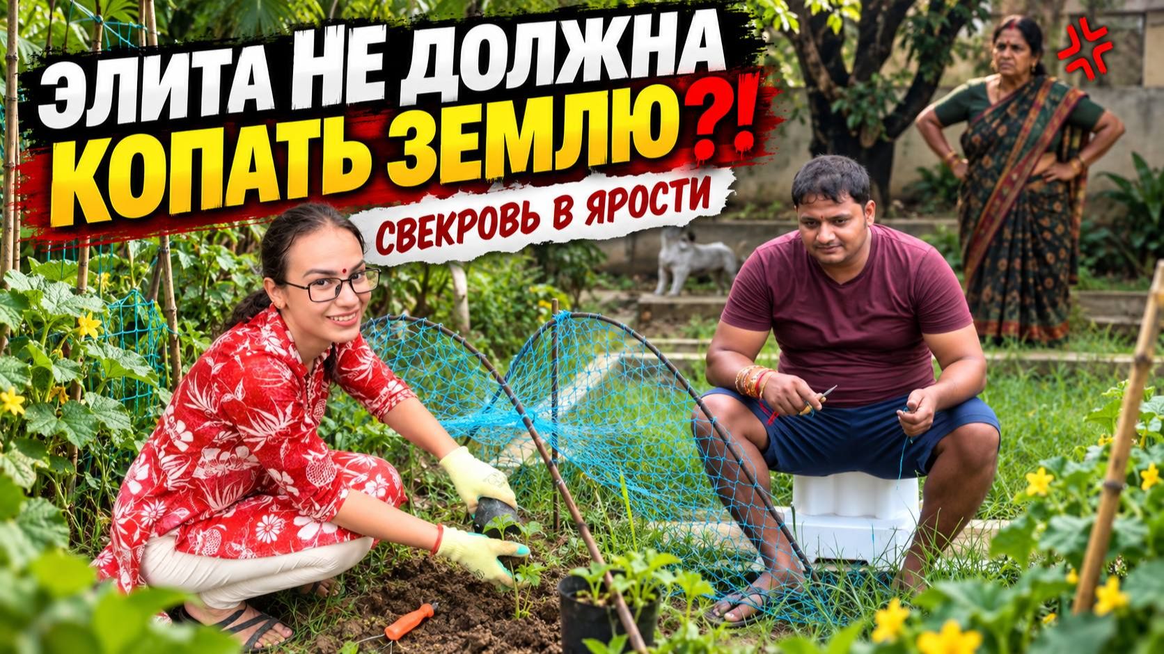 Сажаем первые огурцы, но свекровь в ярости, что её сын копает землю. Это же не для элиты работа…