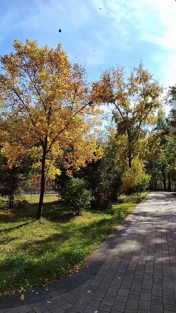 Сентябрь в городе
