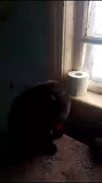 Скоро заморозки и у нас!
