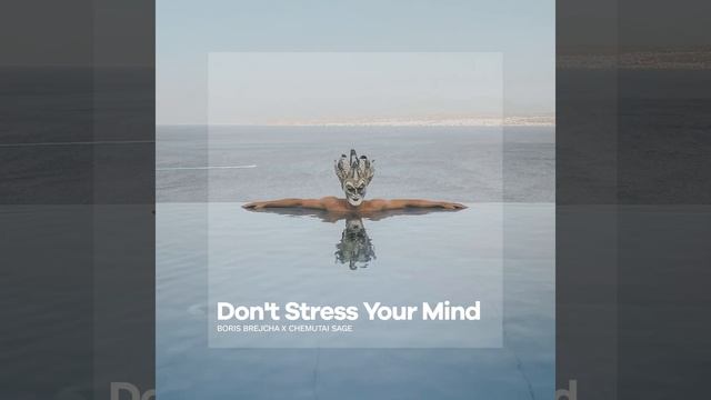 Don't Stress Your Mind