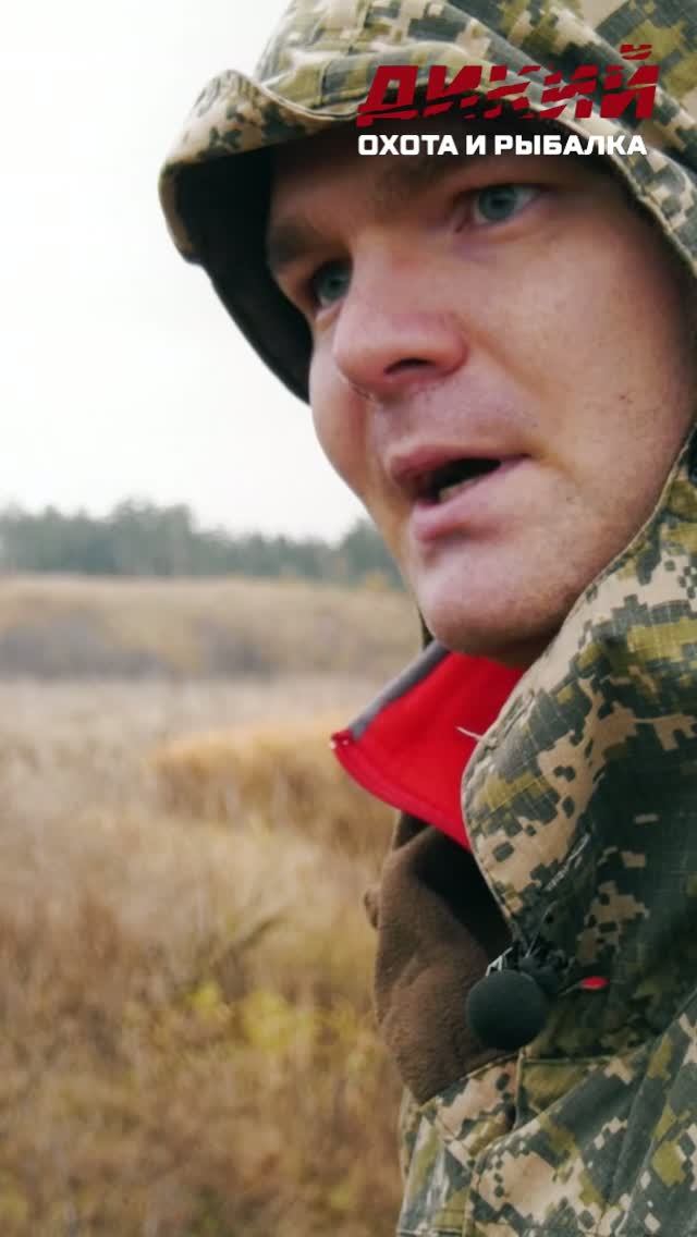 Охота на норку. Звероловы.