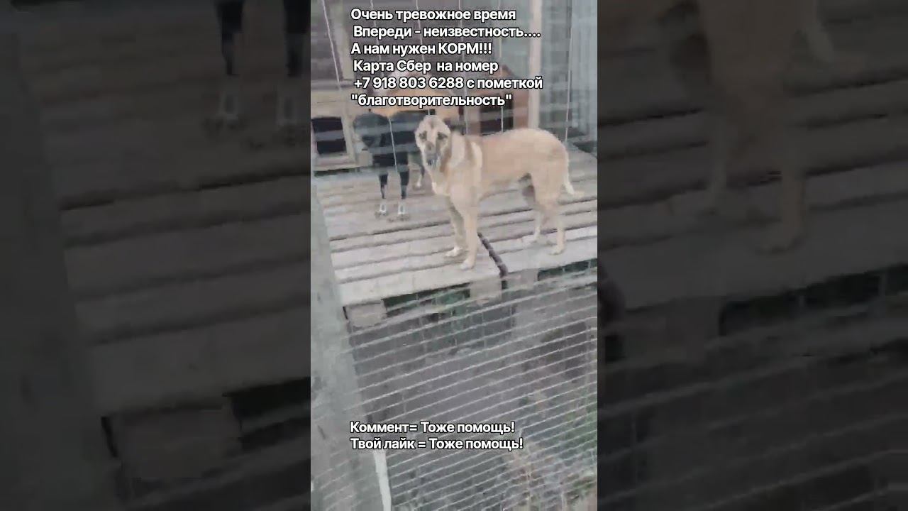 22 сентября 2026 г.