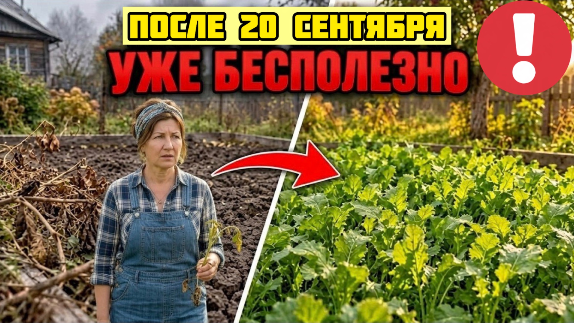 ПОСЕЯЛ ГОРЧИЦУ ОСЕНЬЮ   ТЫ САМ ИСПОРТИЛ ГРЯДКУ
