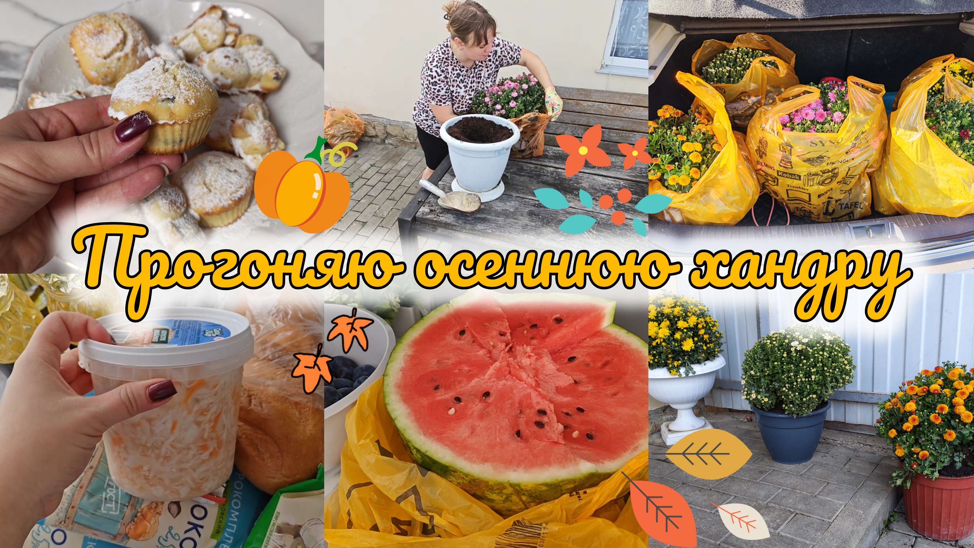 СЕГОДНЯ СКЛАДЫВАЕТСЯ ВСË УДАЧНО😁Я ИХ КУПИЛА!😍 ГОТОВЛЮ ЩИ И ПЕКУ КЕКСЫ😋