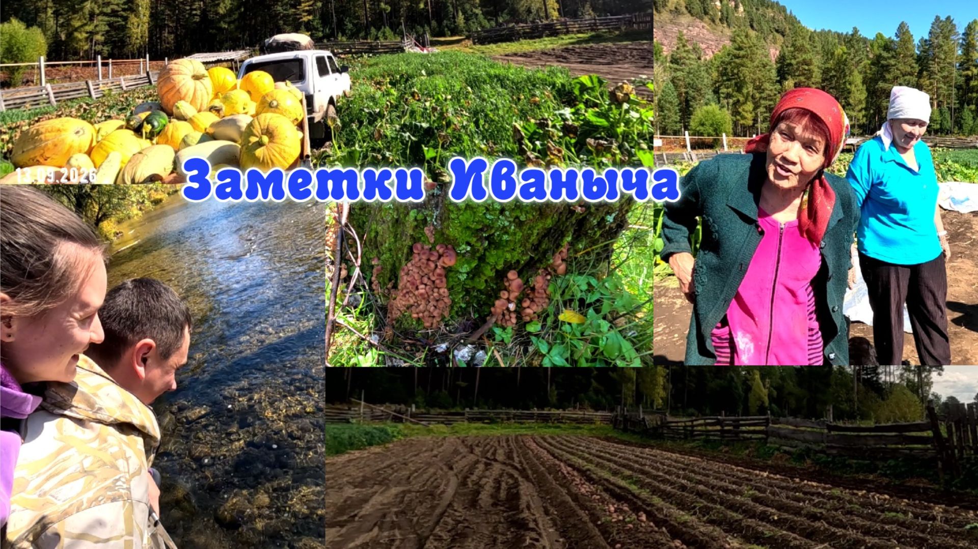 Дары осени: картошка, тыква и опята