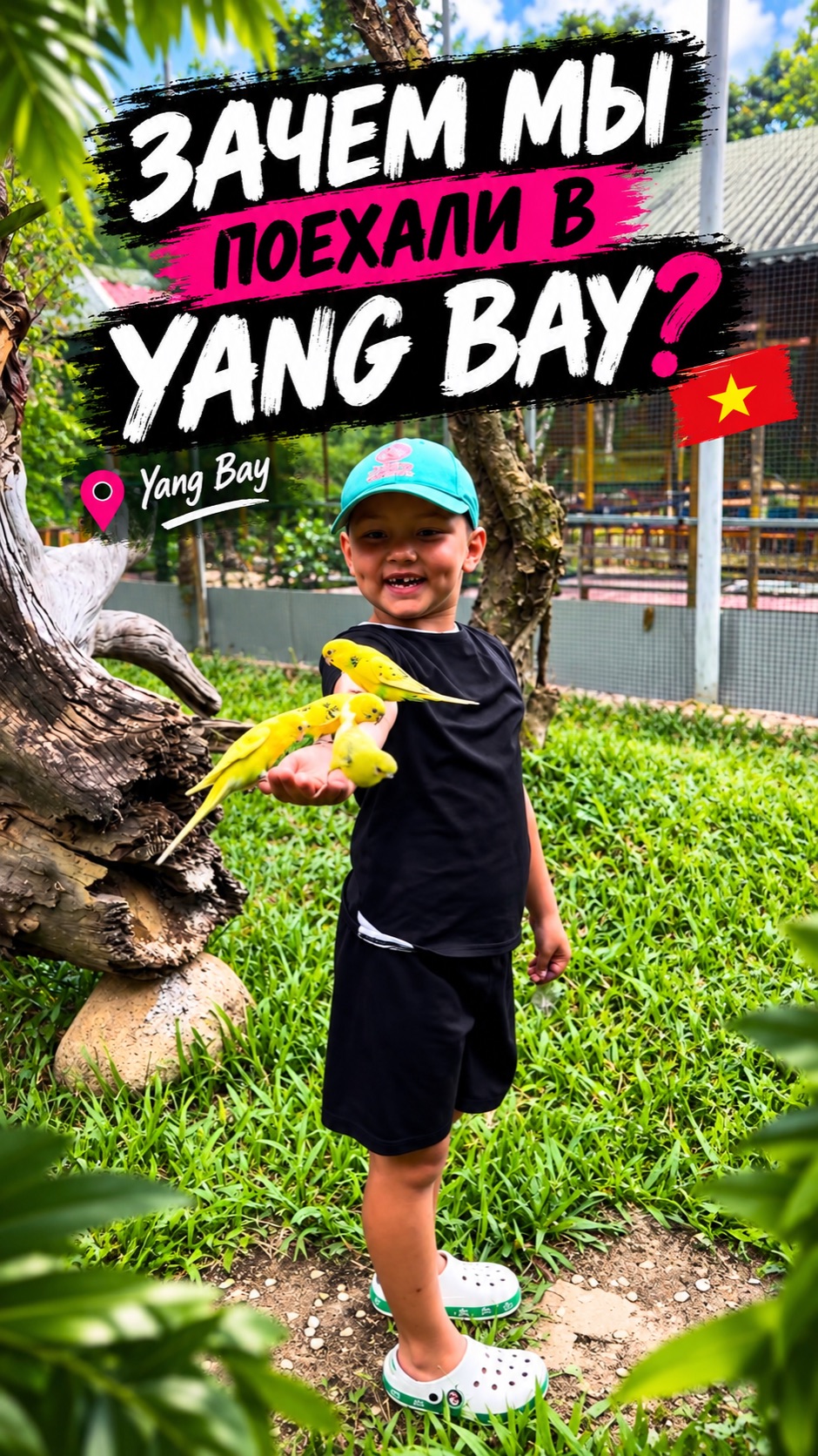 Зачем мы поехали на Yang Bay