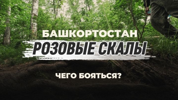 Походная пленка