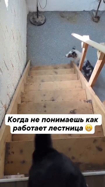 когда не понимаешь как работает лестница