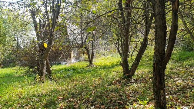 Как желанья, что я таю...