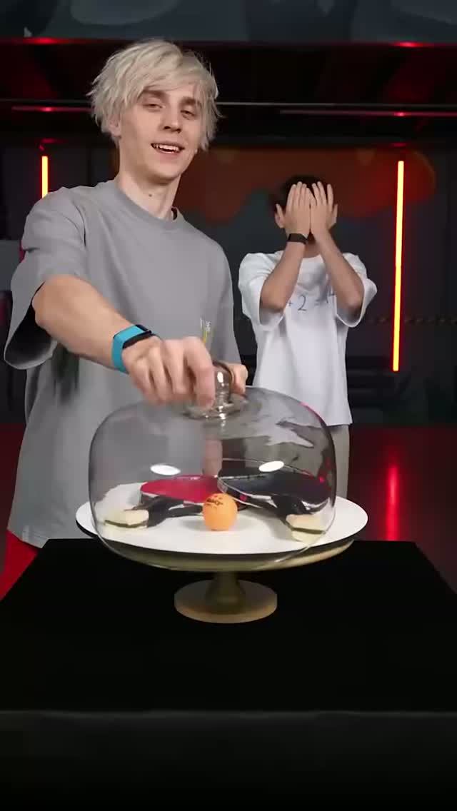 Is It Cake Or Fake ？ 🍰