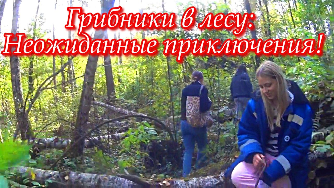 Последний урожай. Ломают деревья. Влог.