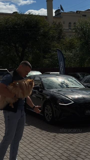 Сколько пачек корма выдали бы нашему мохнатому актеру?🐶🔥