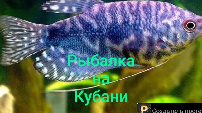 22-09-2026