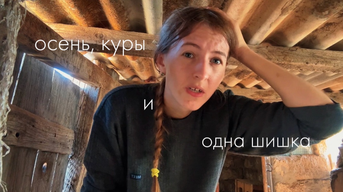 Осень в деревне: Навожу порядок у кур и проверяю крышу на прочность головой