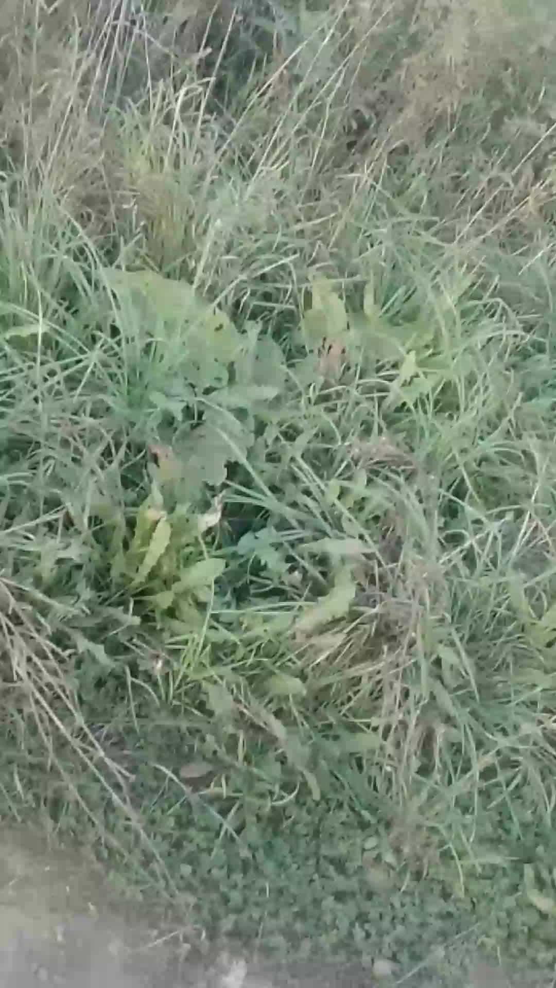 жду филипкв