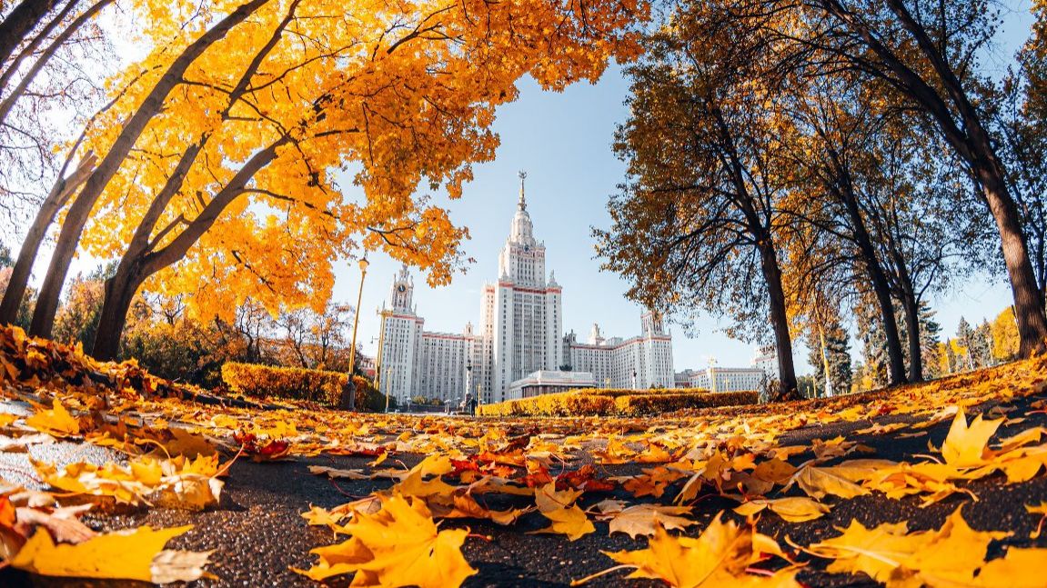 Стихи Иванихина Александра