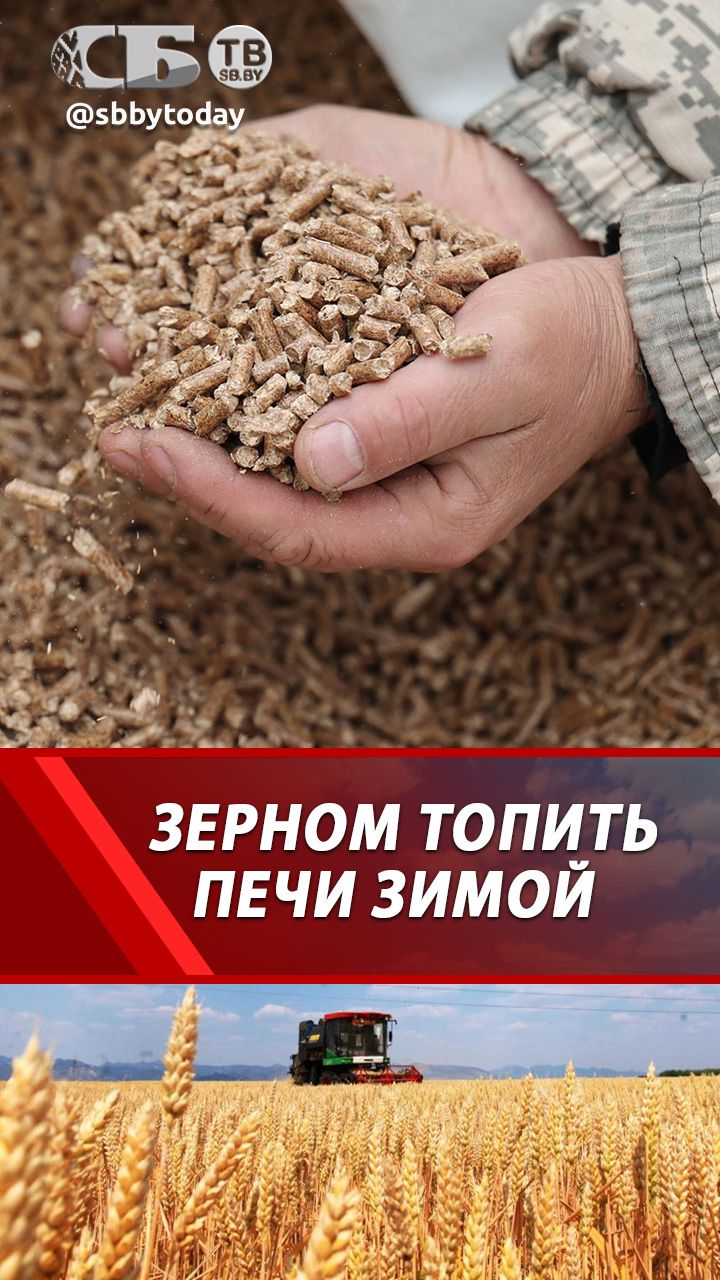 Украина будет греть дома зерном! Хлеб на дрова!