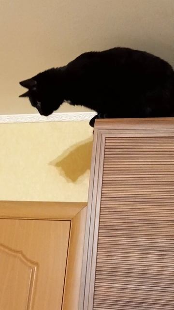 важная миссия