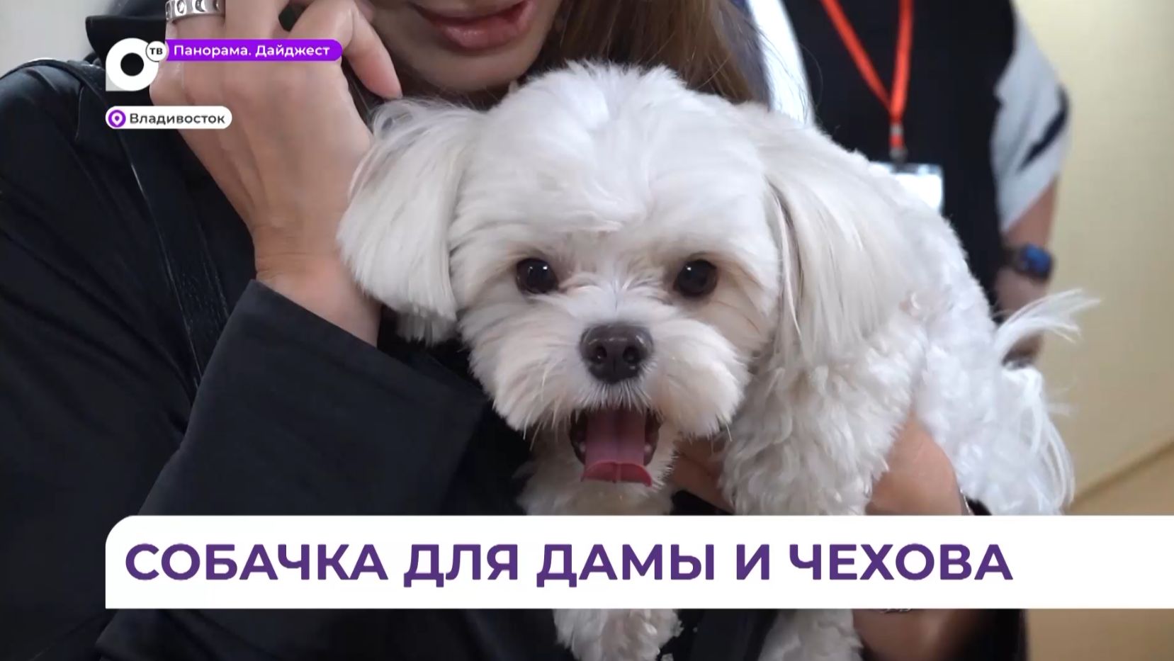 Необычный актёр сыграл одну из главных ролей в спектакле китайского режиссёра «Дама с собачкой»