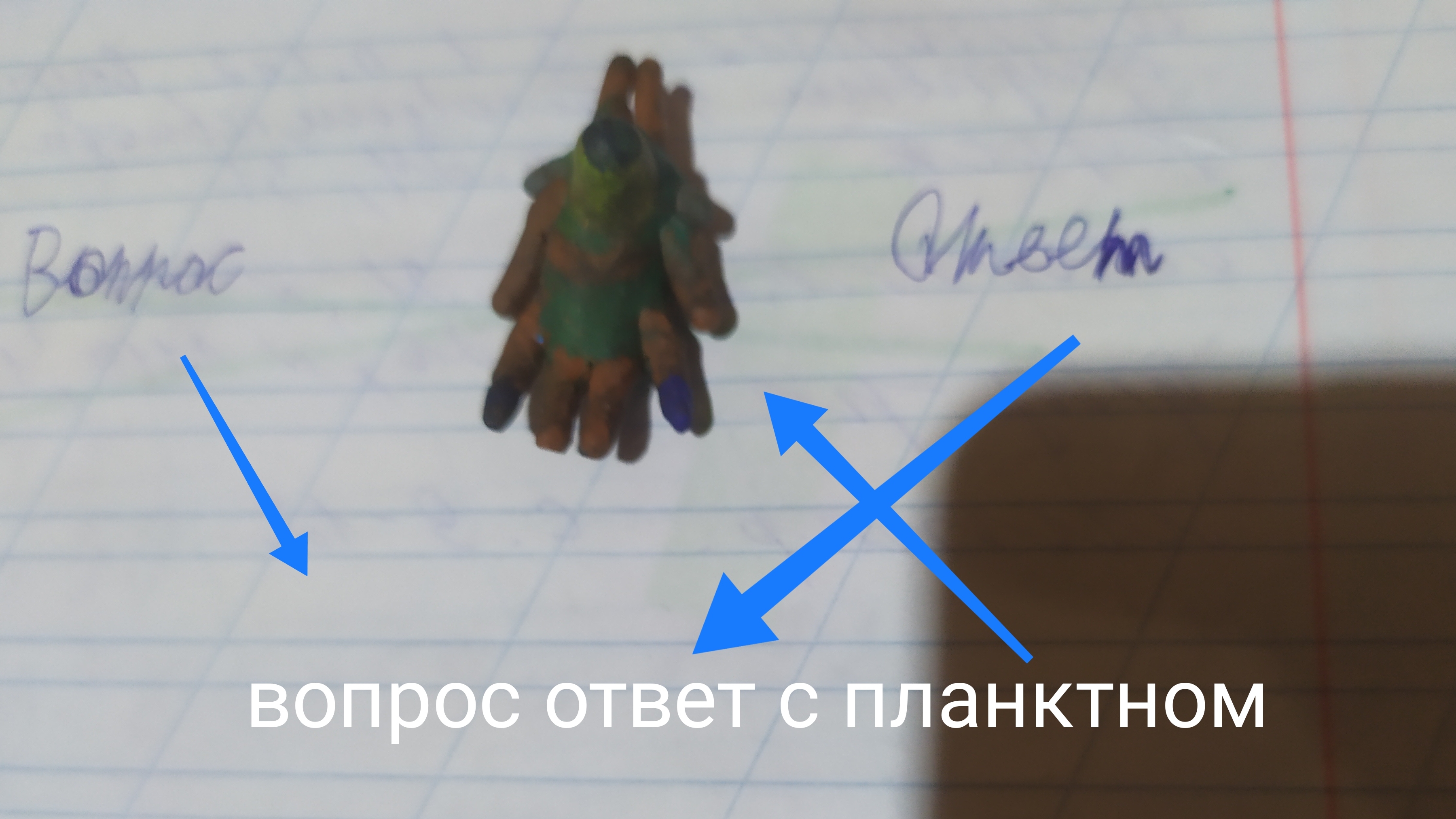 видео планктона