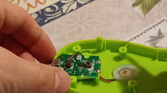 Что внутри щетки с паром для кошек