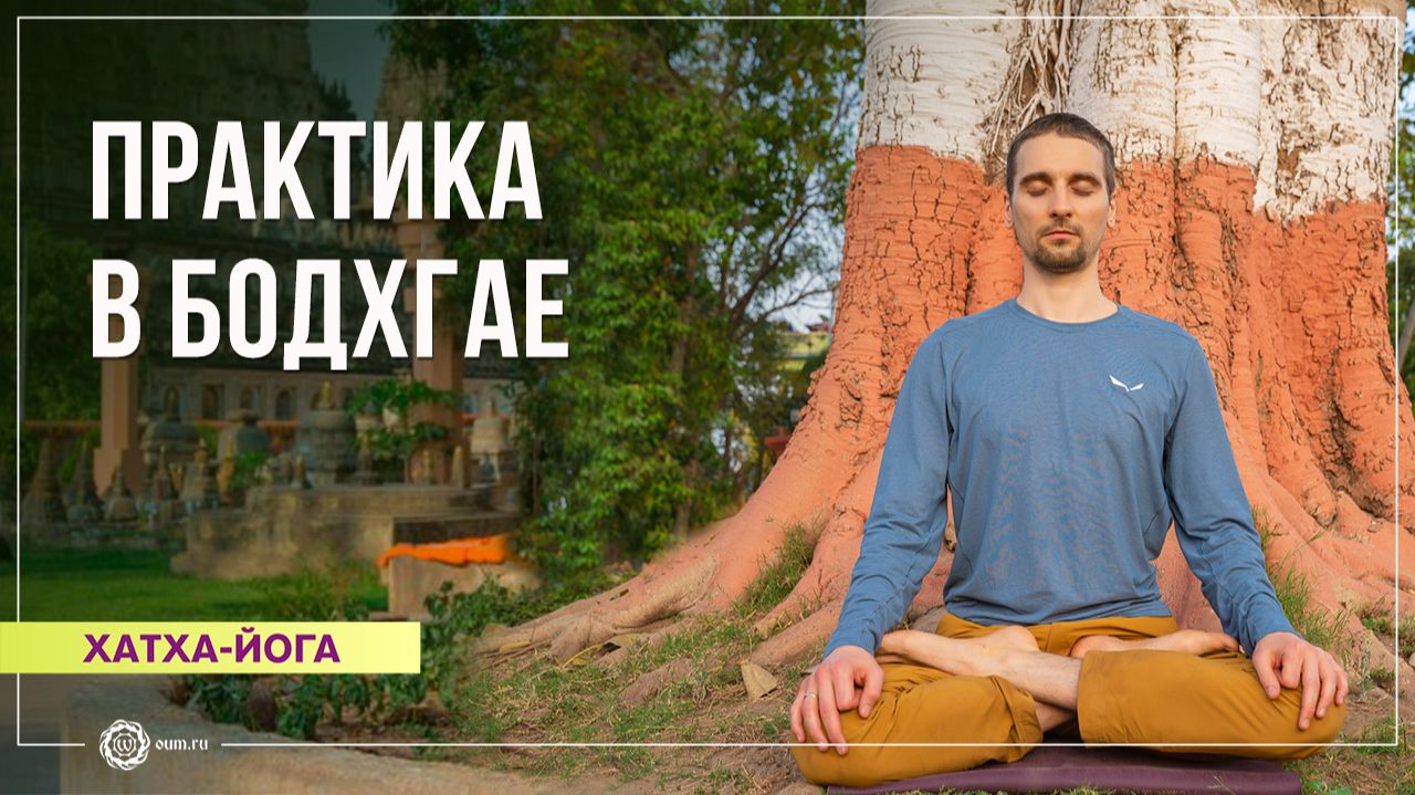 Хатха-йога. Практика в Бодхгае. Артём Кузнецов