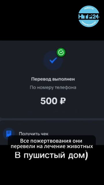 Нижнекамку, спасающую бездомных животных, поддержали в Альметьевске
