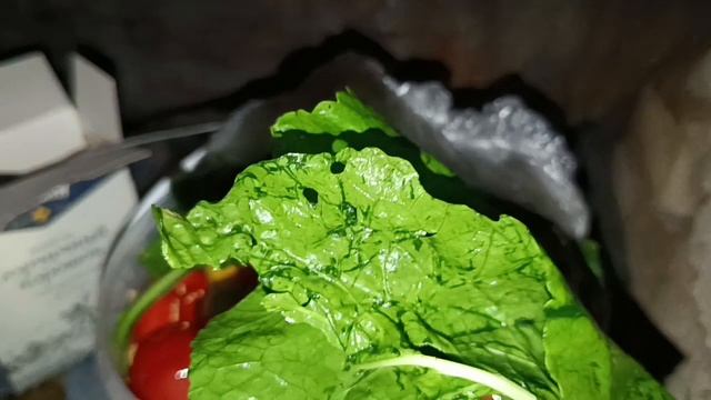 ЕЩЁ ОДНА ПОЛКА В ПОГРЕБ/ВЫРВАЛА 🥒В ТЕПЛИЦЕ.