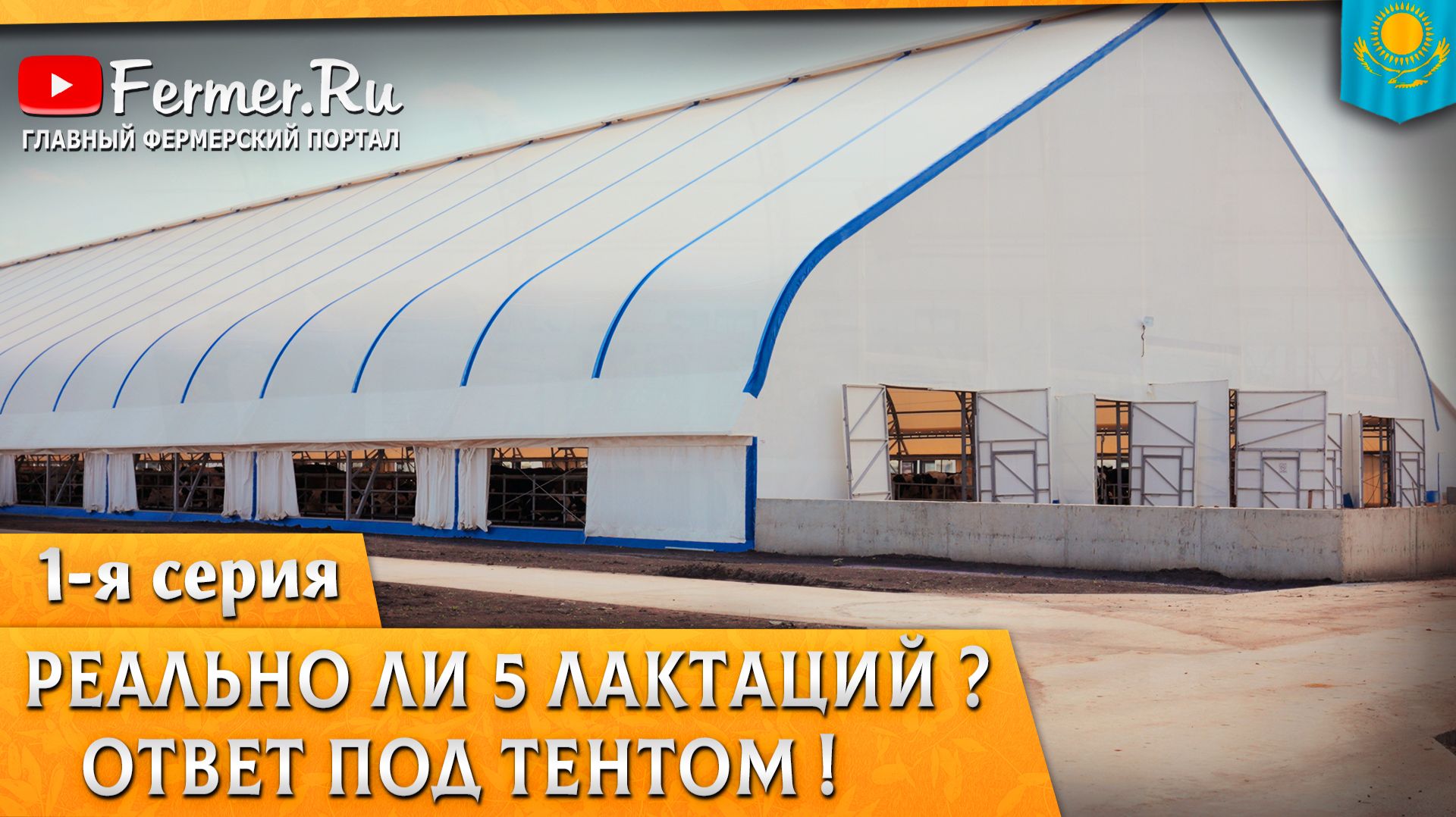 Почему тент, а не сэндвич? Коровник на 800 голов в СКО. 1-я серия. ТОО «СК Агро 2050».