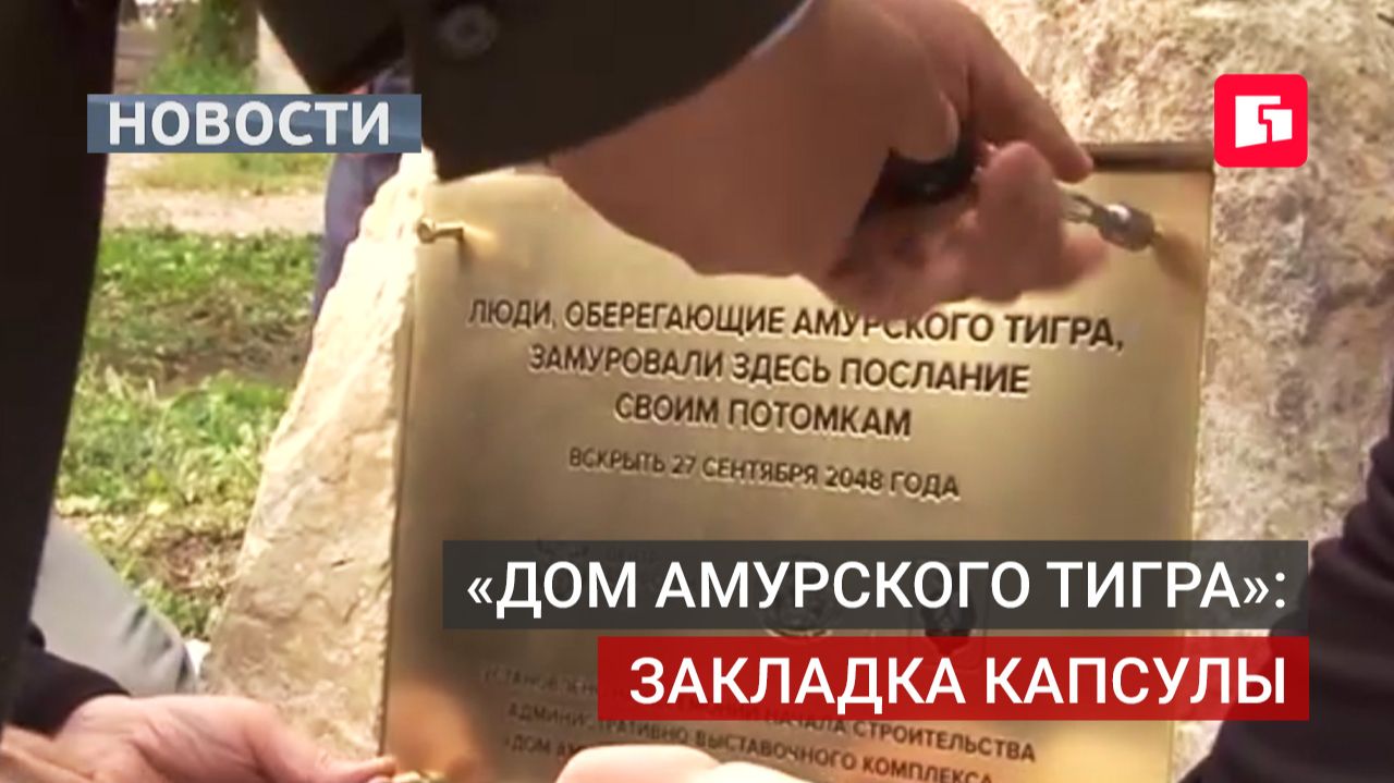 В Хабаровске построят «Дом Амурского тигра» с музеем. 23/09/2026