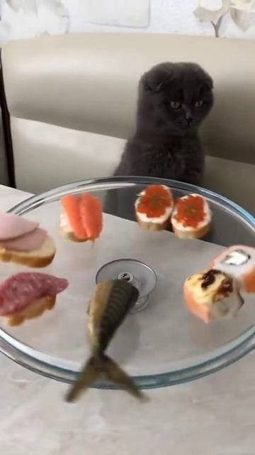 Сектор приз