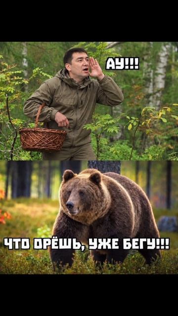 Когда пошёл в лес по грибы