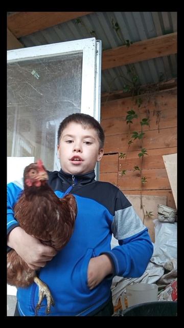 пять причин почему нужно завести курей
