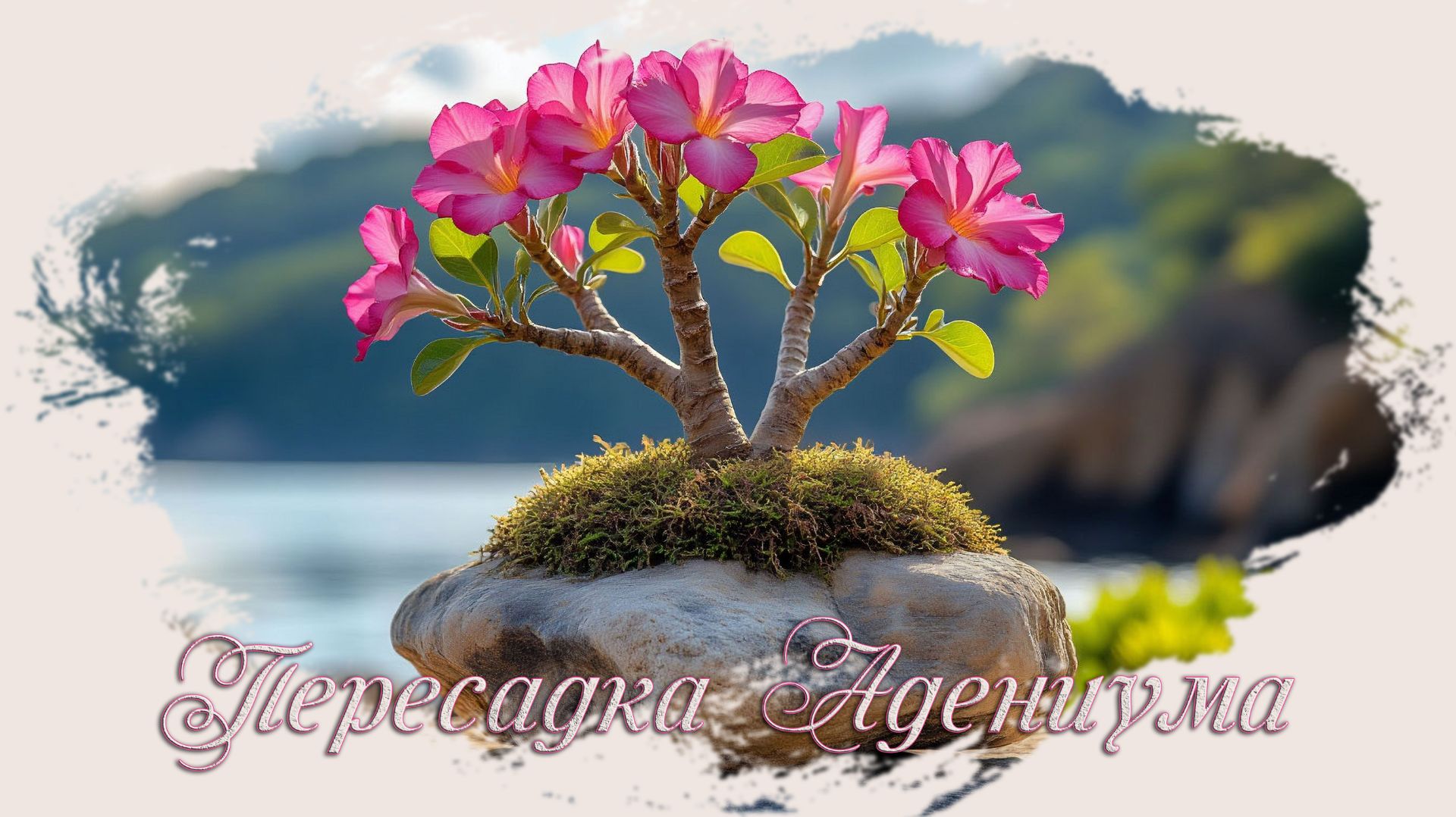 Комнатные растения Саныча