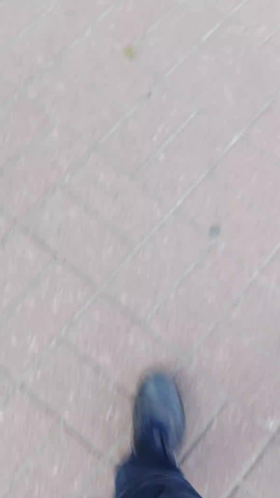 Birbi