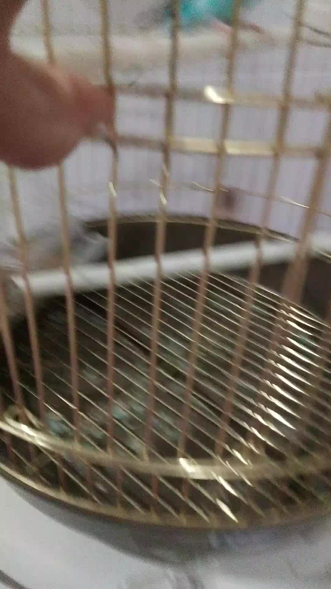 снимаю Кешу часть пять