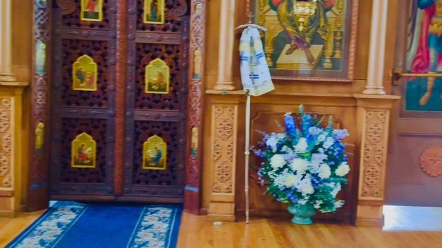 Галерея Цветов.Цветы остатки рая на земле. Все о прекрасном мире цветов созданных Богом!